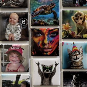 Custom Square Photo Magnets – Set of 9